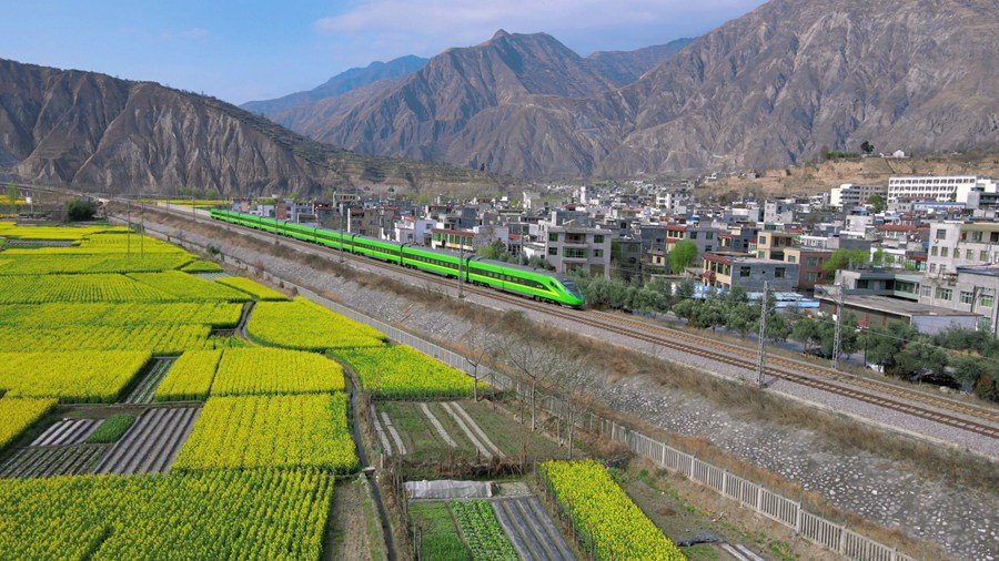 隴南市武都區(qū)萬畝油菜花競相綻放，美不勝收。隴南市融媒體中心供圖