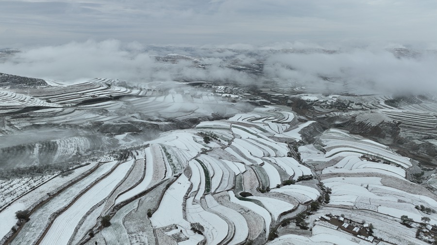 雪霽梯田壯美如畫。張文博 攝