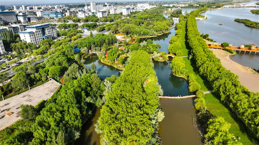 高臺國家城市濕地公園秋景美如畫。屈昶攝