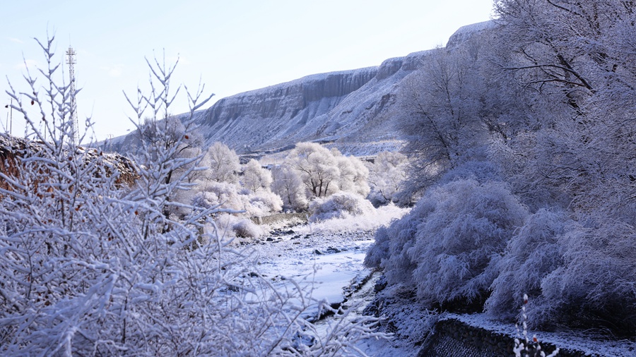 甘肅肅南：玉樹(shù)瓊枝美如畫(huà)。武雪峰 安維斌攝