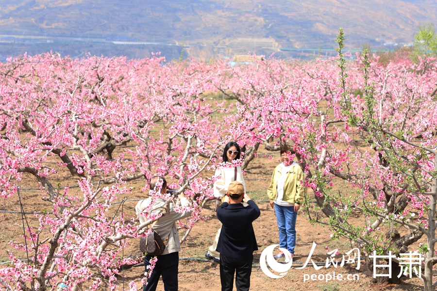 4月12日，游客在桃園中賞花游玩。人民網(wǎng)記者 王文嘉攝